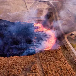 February 2017 (The Wilds)